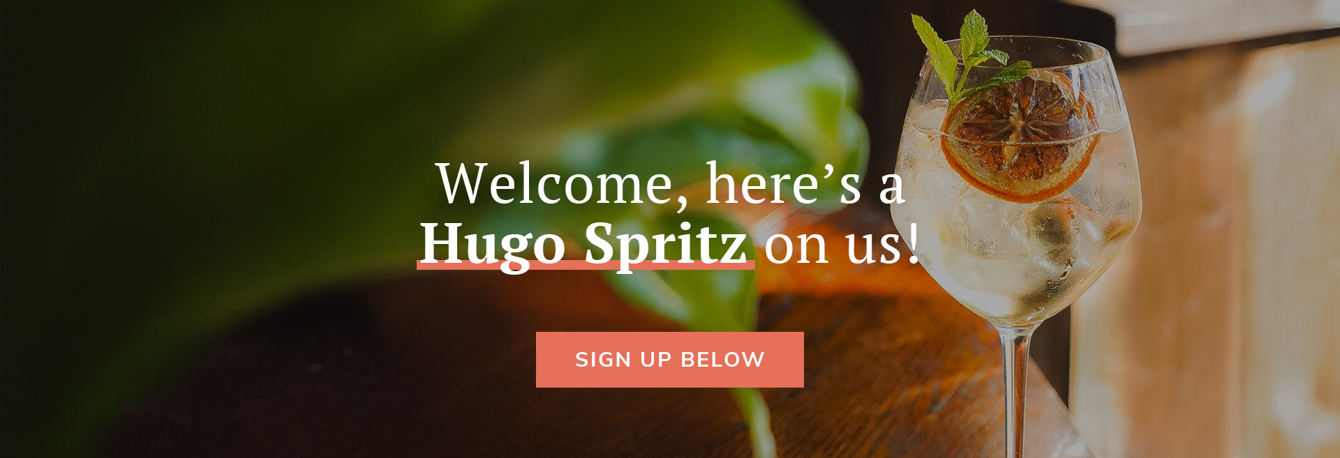 Sign up to the newsletter at The Rose and Thistle